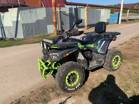 2024 Motoland Wild Track 200 X Pro, серый, 280000 рублей, вид 2