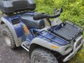 2001 BRP Can-Am Ryker, синий, 350000 рублей - вид 1