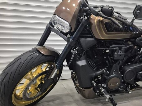 2022 Harley-Davidson Sportster S, коричневый, 2650000 рублей, вид 2