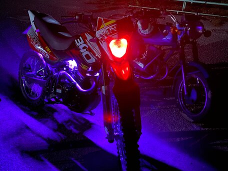 2024 Racer Panther, красный, 115000 рублей, вид 1