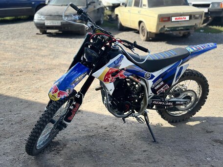 2024 Motoland Enduro 300, белый, 115000 рублей, вид 2