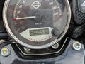 2017 Harley-Davidson Street 750, чёрный, 645000 рублей - вид 7