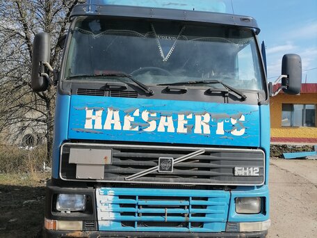 1994 Volvo FH, голубой, 800000 рублей, вид 1