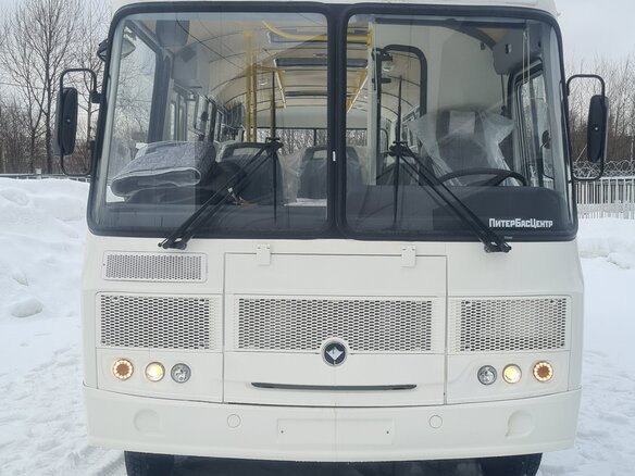 2022 ПАЗ 4234, белый - вид 4