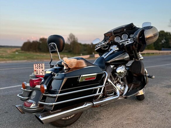 2009 Harley-Davidson Electra Glide, чёрный, 750000 рублей - вид 5