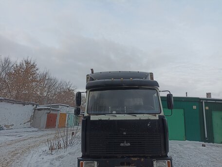2003 МАЗ 4370, серый, 500000 рублей, вид 3