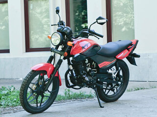 Racer Tiger