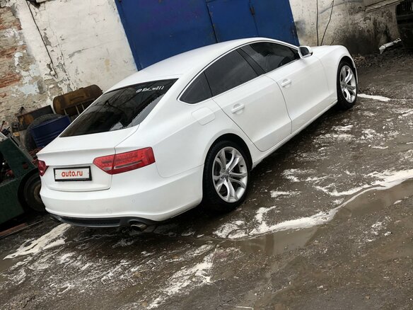 2010 Audi A5 I (8T), белый, 1666000 рублей - вид 8