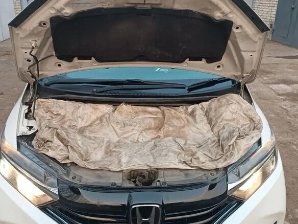 2019 Honda Shuttle II, белый, 1250000 рублей - вид 13
