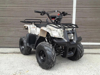 2025 Motoland ATV 110 Rider, бежевый, 86700 рублей, вид 1