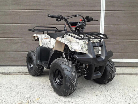 2025 Motoland ATV 110 Rider, бежевый, 86700 рублей, вид 1