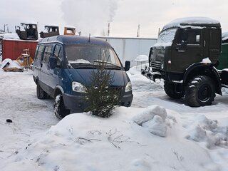 2004 ГАЗ ГАЗель (3221), синий, 330000 рублей, вид 4