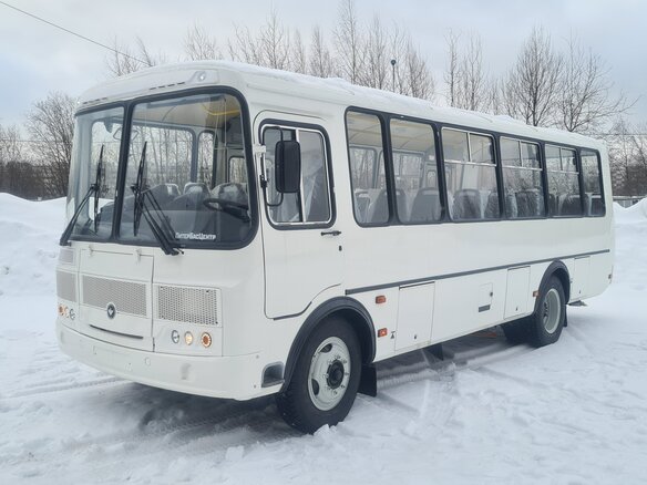 2022 ПАЗ 4234, белый - вид 6