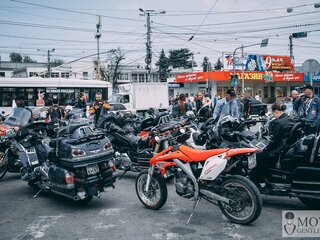 ABM ZR 250