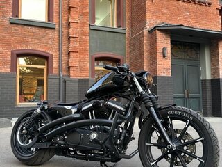 2019 Harley-Davidson Sportster 883, чёрный, 2250000 рублей, вид 3