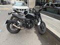 2021 Minsk (Минск) SCR 250, чёрный, 115000 рублей