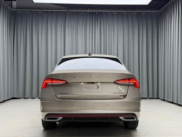 2023 Skoda Octavia IV (A8), коричневый - вид 4