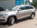 2019 Skoda Kodiaq I, серебристый, 2500000 рублей - вид 1