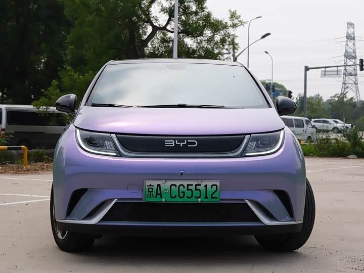Открыть фотографии: BYD Dolphin I