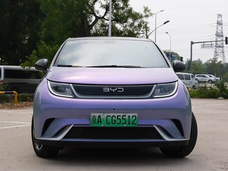 BYD Dolphin I