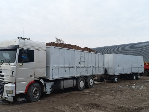 1994 DAF XF 95, белый, 1800000 рублей - вид 9