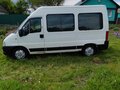 2011 Fiat Professional Ducato, белый, 1100000 рублей - вид 2