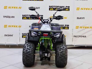 2025 Motoland Wild 125, серый, 99000 рублей, вид 4
