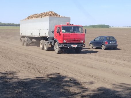 1992 КамАЗ 54112, красный, 550000 рублей, вид 2