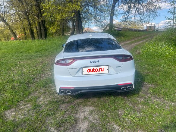 2019 Kia Stinger I, белый, 2100000 рублей - вид 5
