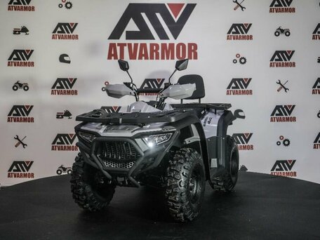 2024 Bashan Explorer 300, серый, 359000 рублей, вид 1