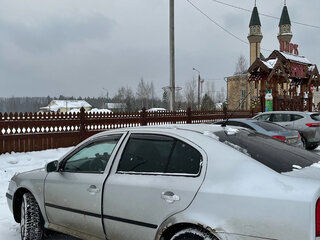 2001 Skoda Octavia I (A4) Рестайлинг, белый, 220000 рублей, вид 5