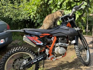 2025 Kayo K2 Pro, оранжевый, 110000 рублей, вид 2