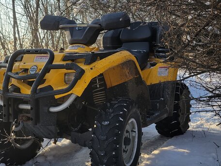 2006 Другие ATV (другие), жёлтый, 450000 рублей, вид 4