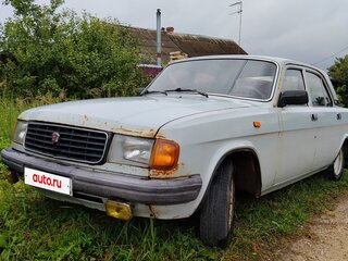 1994 ГАЗ 31029 «Волга», серый, 230000 рублей, вид 3