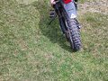 2024 Racer Panther, красный, 130000 рублей - вид 4
