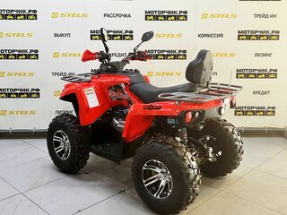 2025 Bison Hammer 250 PRO, красный, 252990 рублей, вид 3