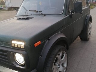 2010 Lada (ВАЗ) 2121 (4x4) I Рестайлинг, зелёный, 290000 рублей, вид 2