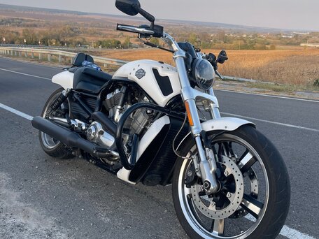 2011 Harley-Davidson V-Rod Muscle, белый, 1300000 рублей, вид 1