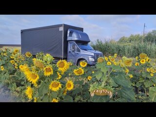 2019 ГАЗ ГАЗон Next, серый, 1555555 рублей, вид 4