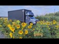 2019 ГАЗ ГАЗон Next, серый, 1555555 рублей - вид 3