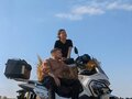 2025 Jilang ADV, белый, 120000 рублей - вид 6