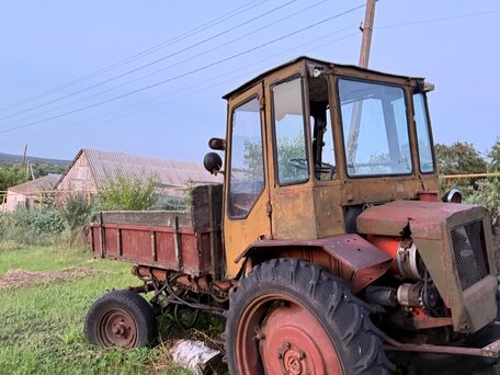 1967 ХТЗ Т-16, 165000 рублей, вид 1