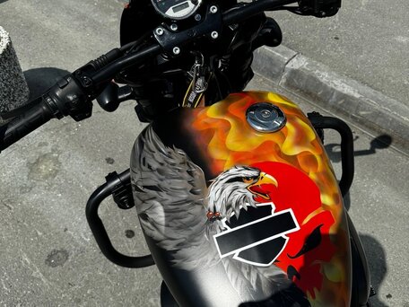 2018 Harley-Davidson Street Rod, чёрный, 875000 рублей, вид 4