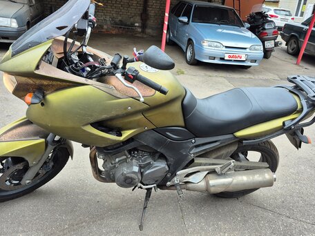 2005 Yamaha TDM900, зелёный, 600000 рублей, вид 1