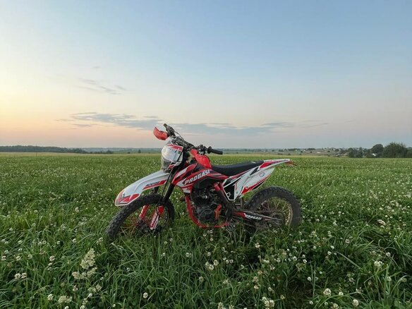 2022 Progasi Super Max 300, красный, 110000 рублей - вид 2