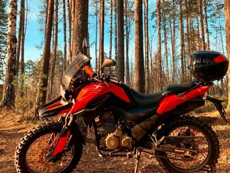 2020 Shineray Fireguard 250 Trail, красный, 125000 рублей, вид 1