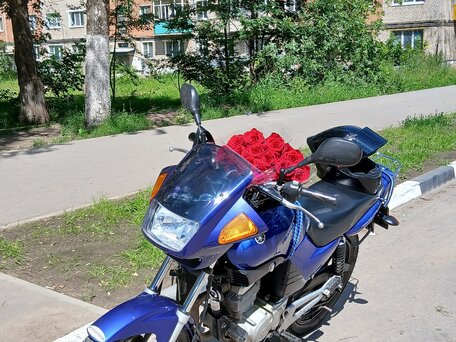 2009 Yamaha YBR125, синий, 165000 рублей, вид 2