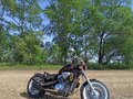 1995 Honda Steed 600, чёрный, 400000 рублей - вид 1