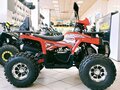 2025 Wels Thunder 125, красный - вид 4