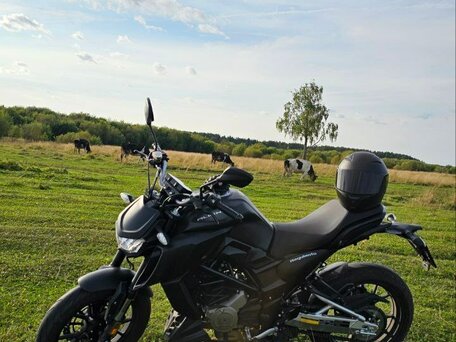 2023 Regulmoto Alien Monster, чёрный, 340000 рублей, вид 2